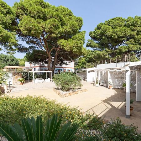 Angolo Mare Apartments & Rooms ポルト・ピノ エクステリア 写真